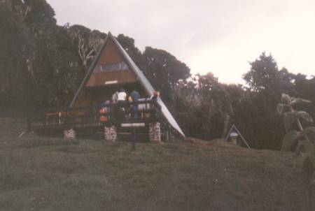 af111.bmp