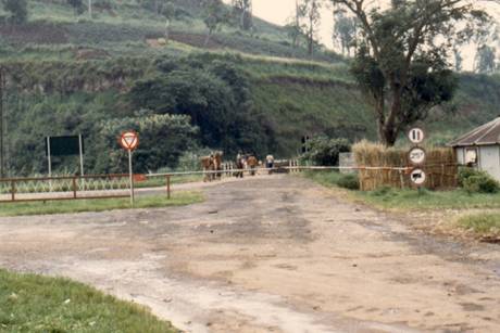 af223.bmp