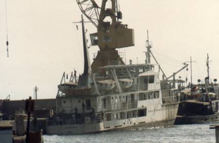 af229.bmp