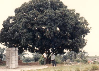 af232.bmp